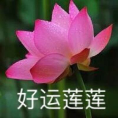 紫荆花涂料荣获2024年第十五届金漆奖三项大奖